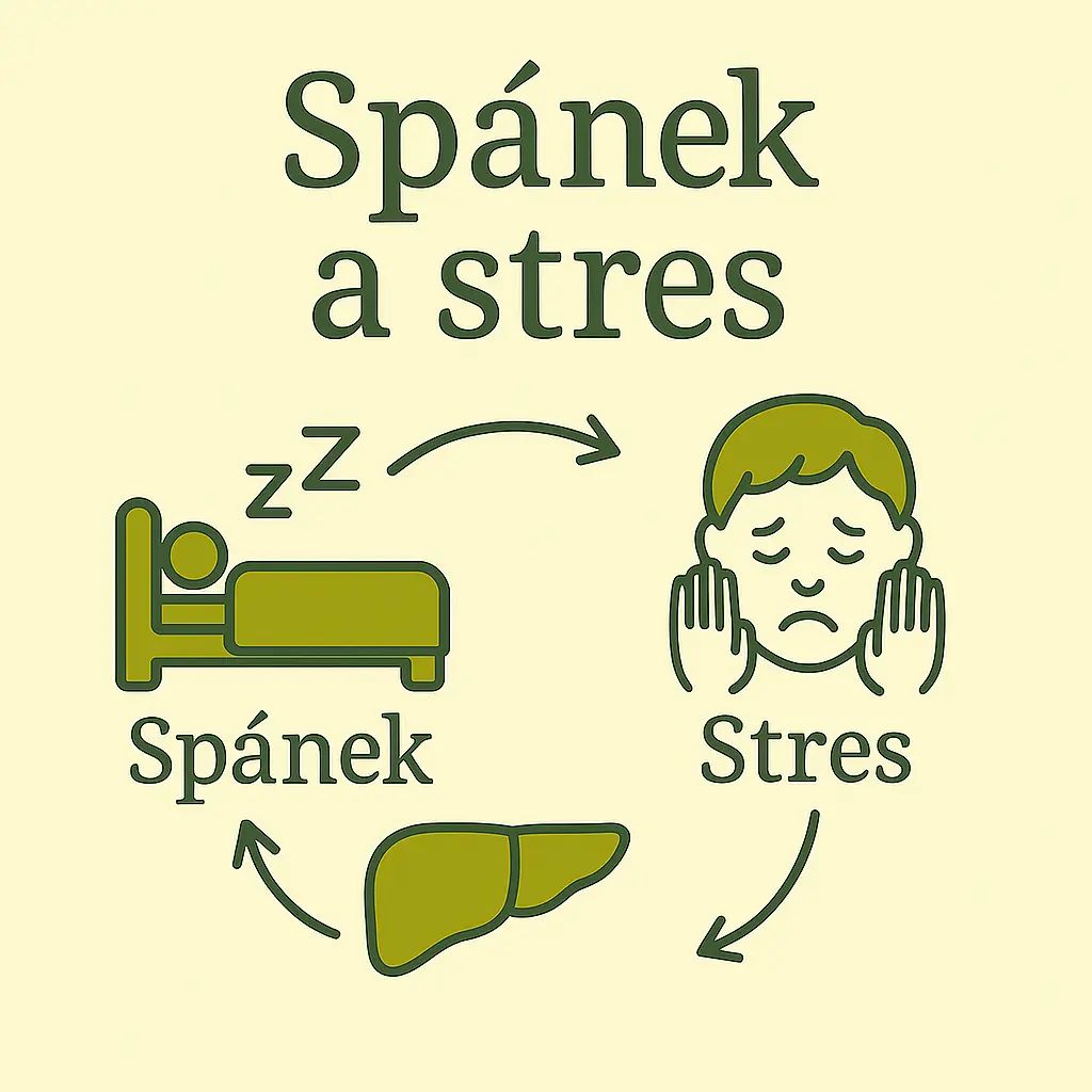 Graf: Spánek, psychika a stres – vliv na duševní a tělesnou rovnováhu